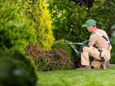 Top 10 geeignete Berufe für bipolare Menschen 
