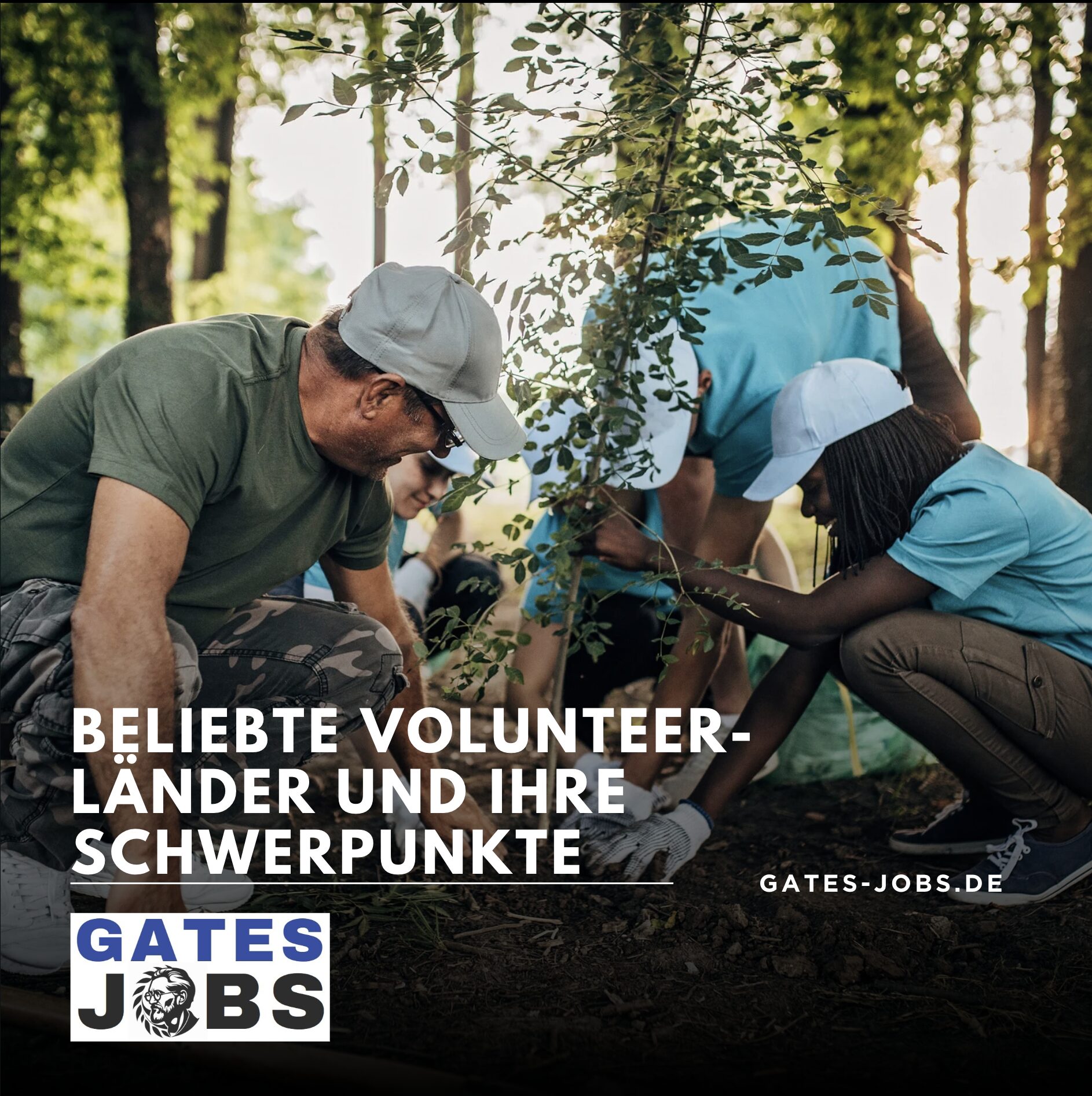 Beliebte Volunteer-Länder und ihre Schwerpunkte